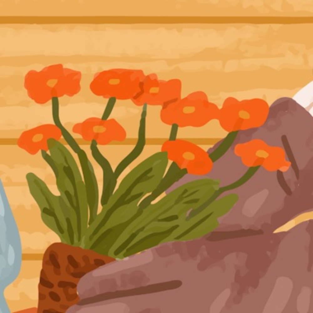 Meet your Posher, Samantha